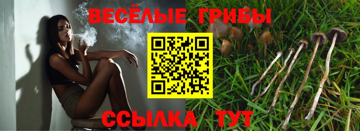 Псилоцибиновые грибы Magic Shrooms  Вход с VPN  дарнет шоп  Прокопьевск 